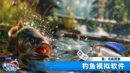 垂钓大师最新版最新版