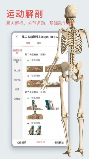 3dbody解剖下载