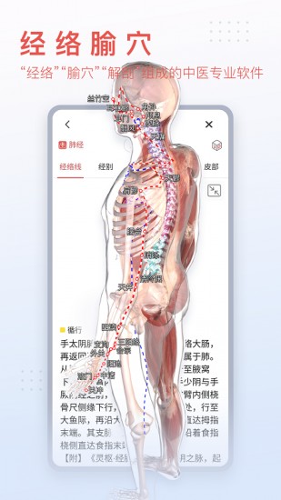 3dbody解剖